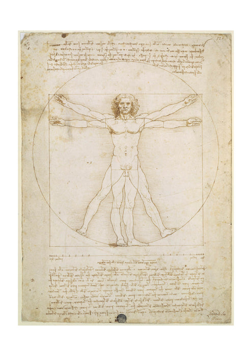 Leonardo Da Vinci - Human Proportions Vitruvian Man