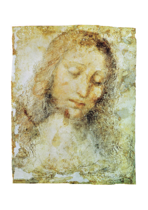 Leonardo Da Vinci - Pinacoteca di Brera