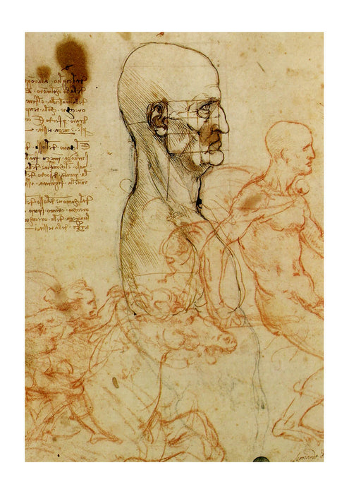 Leonardo Da Vinci - Study of a Head