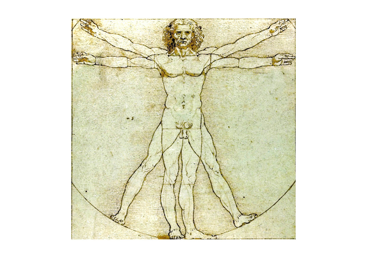 Leonardo Da Vinci - Vitruve Luc Viatour — Spiffing Prints