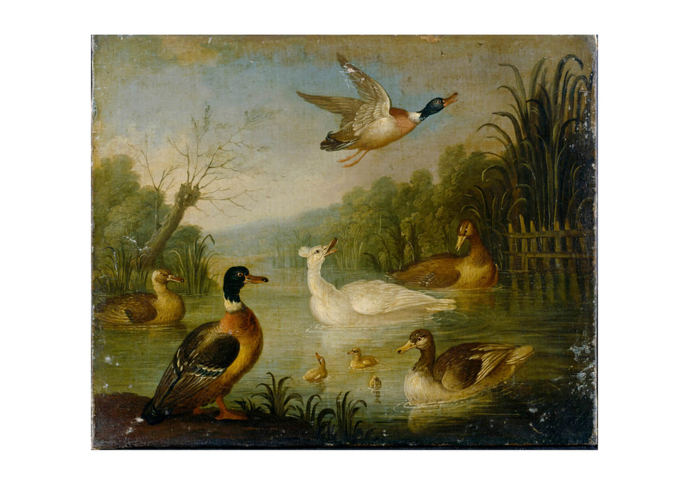 Marmaduke Cradock - Mallards on a Pond