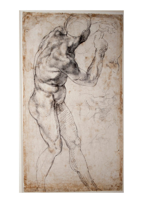 Michelangelo - Male Nude turning to the Right