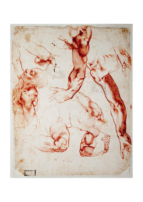 Michelangelo - Studies of Figures and Limbs