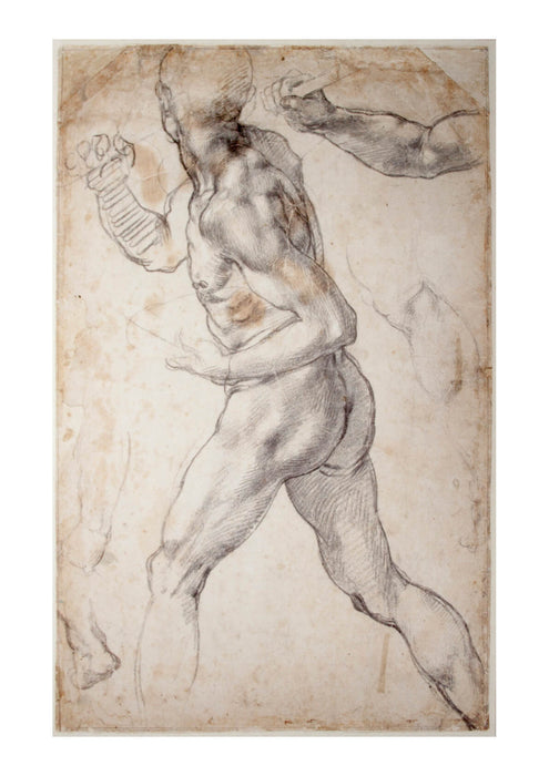 Michelangelo - Study of a striding male Nude