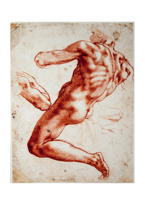 Michelangelo - Study of an Ignudo