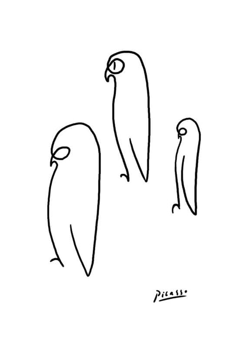 Pablo Picasso - Birds