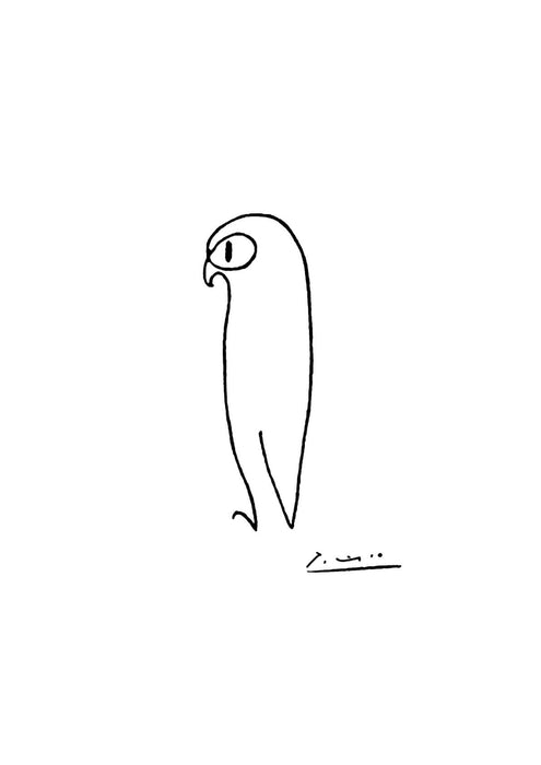 Pablo Picasso - Hawk
