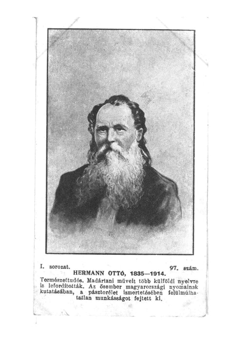 Pal Szinyei Merse - Hermann Otto