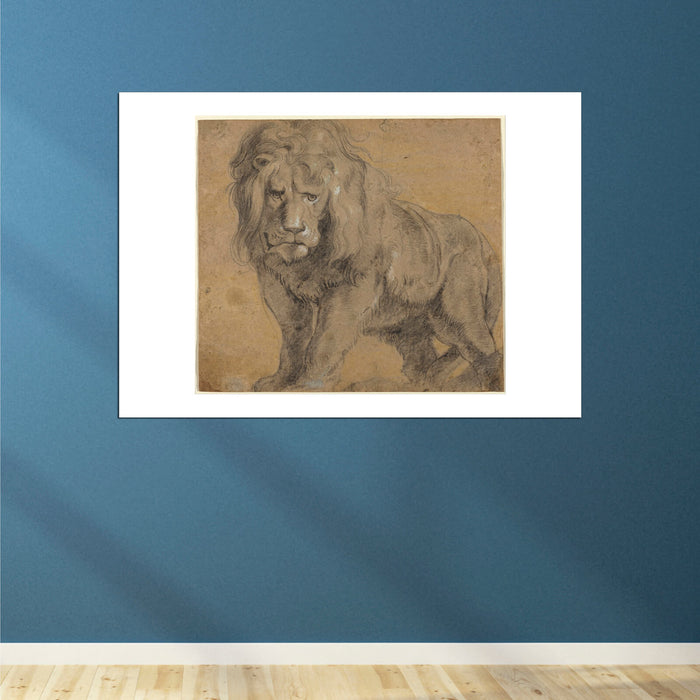 Peter Paul Rubens - Lion