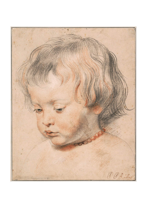 Peter Paul Rubens - Nicolaas Rubens