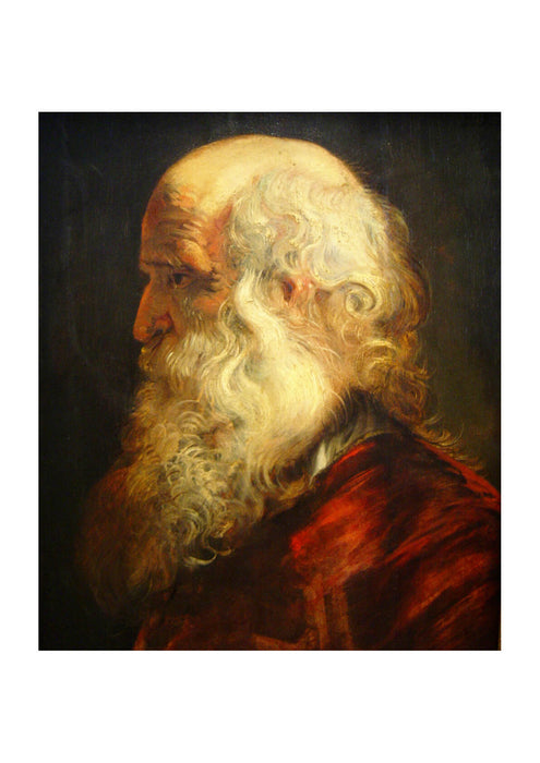 Peter Paul Rubens - Old Man