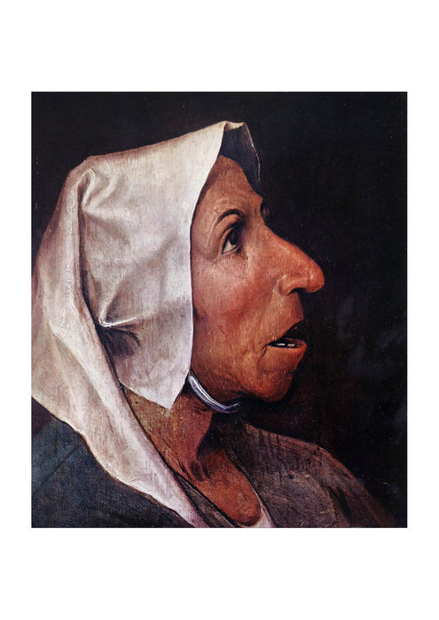 Pieter Bruegel the Elder - Portrait