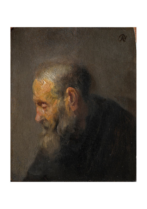 Rembrandt Harmenszoon van Rijn - Study of an Old Man in Profile