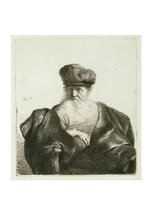 Rembrandt Harmenszoon van Rijn An Old Man with a Beard Fur Cap and Velvet Cloak