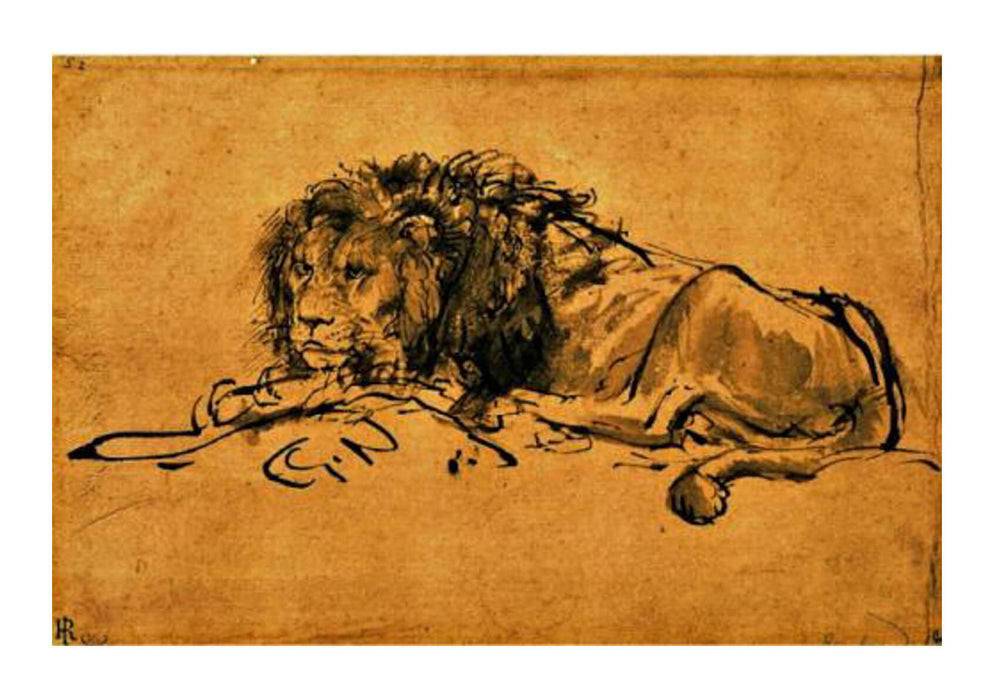 Rembrandt Harmenszoon van Rijn Lion Resting