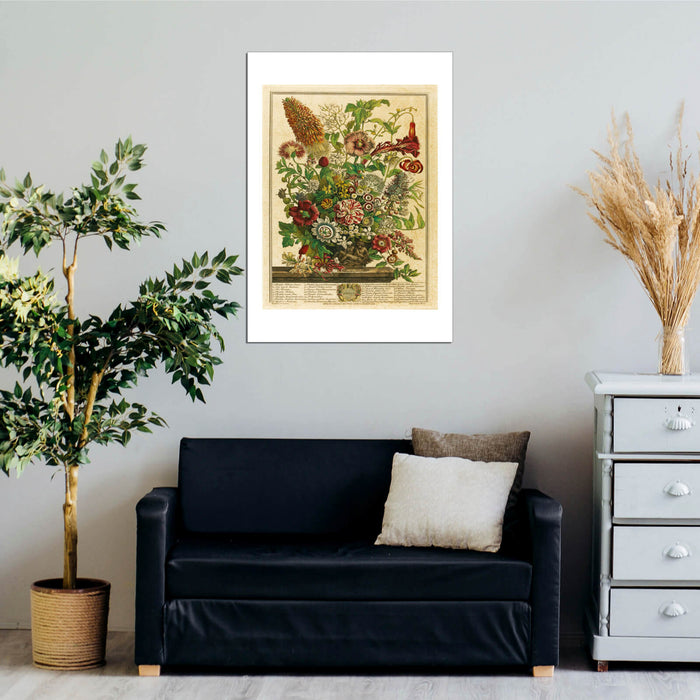 Roberty Furber Twelve Months of Flowers August