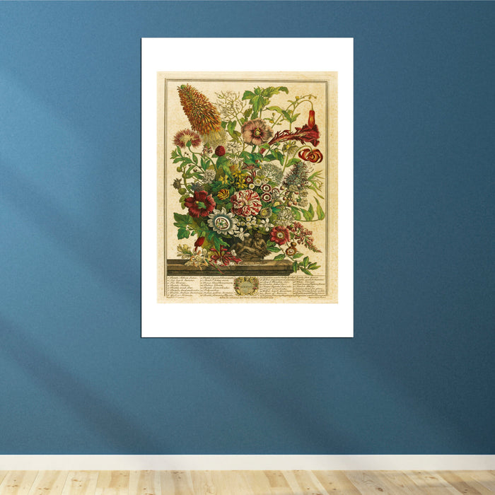 Roberty Furber Twelve Months of Flowers August