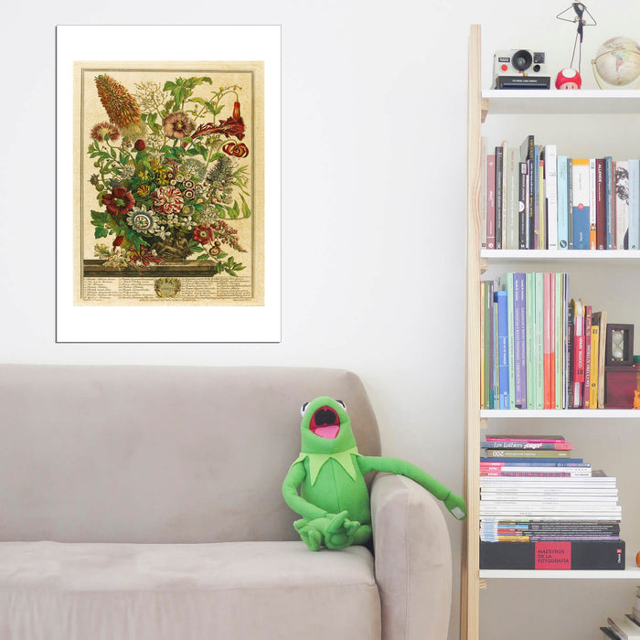 Roberty Furber Twelve Months of Flowers August