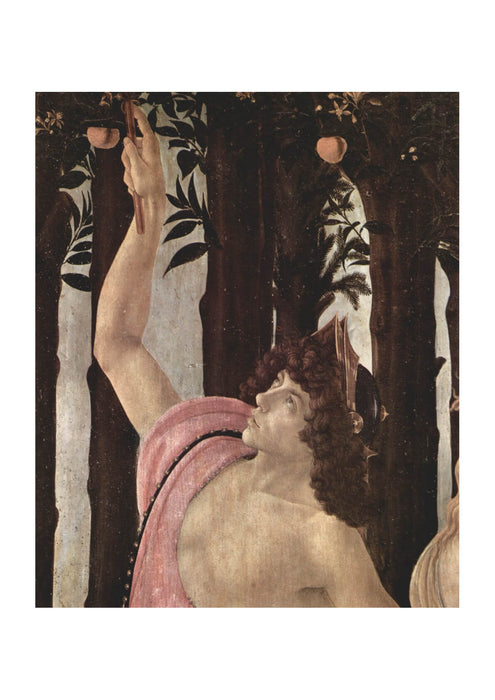 Sandro Botticelli - Picking the Apple