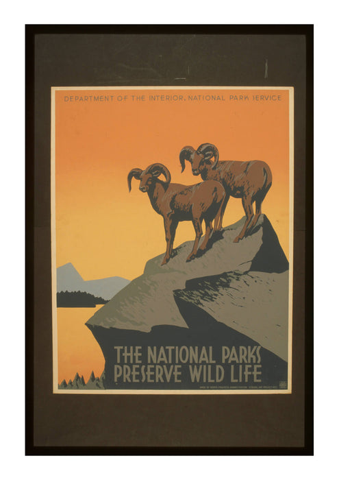The National Parks Preserve Wild Life
