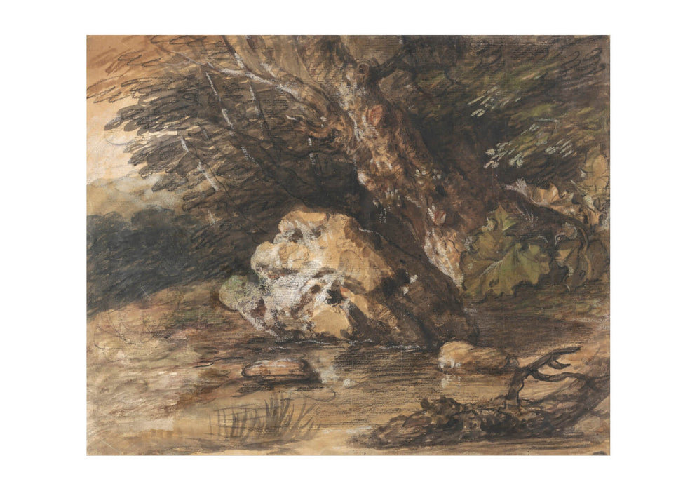 Thomas Gainsborough - A Woodland Pool with Rocks and Plants