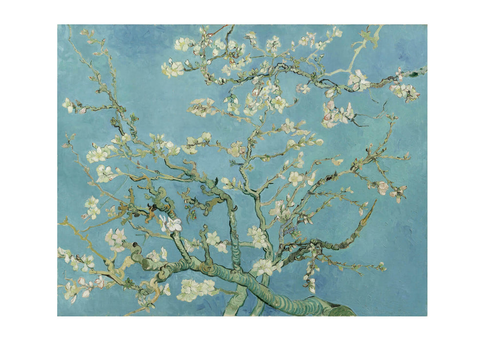 Vincent Van Gogh - Almond blossom