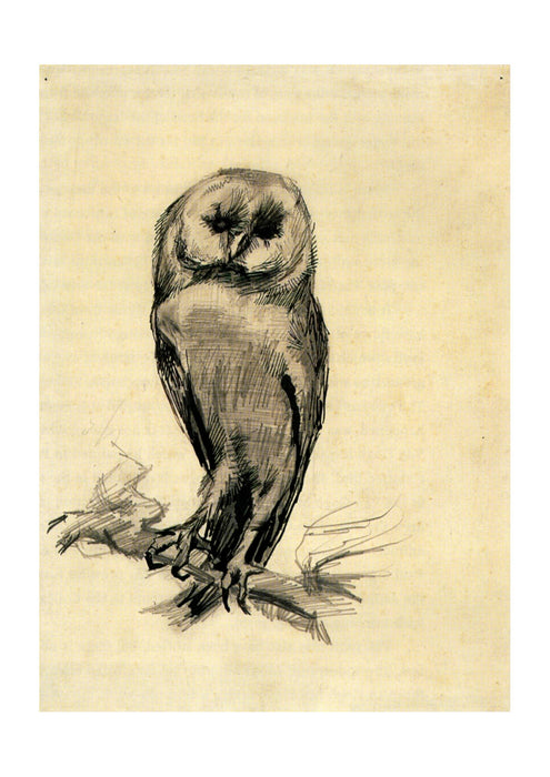 Vincent Van Gogh - Barn Owl Viewed from the Front, 1887