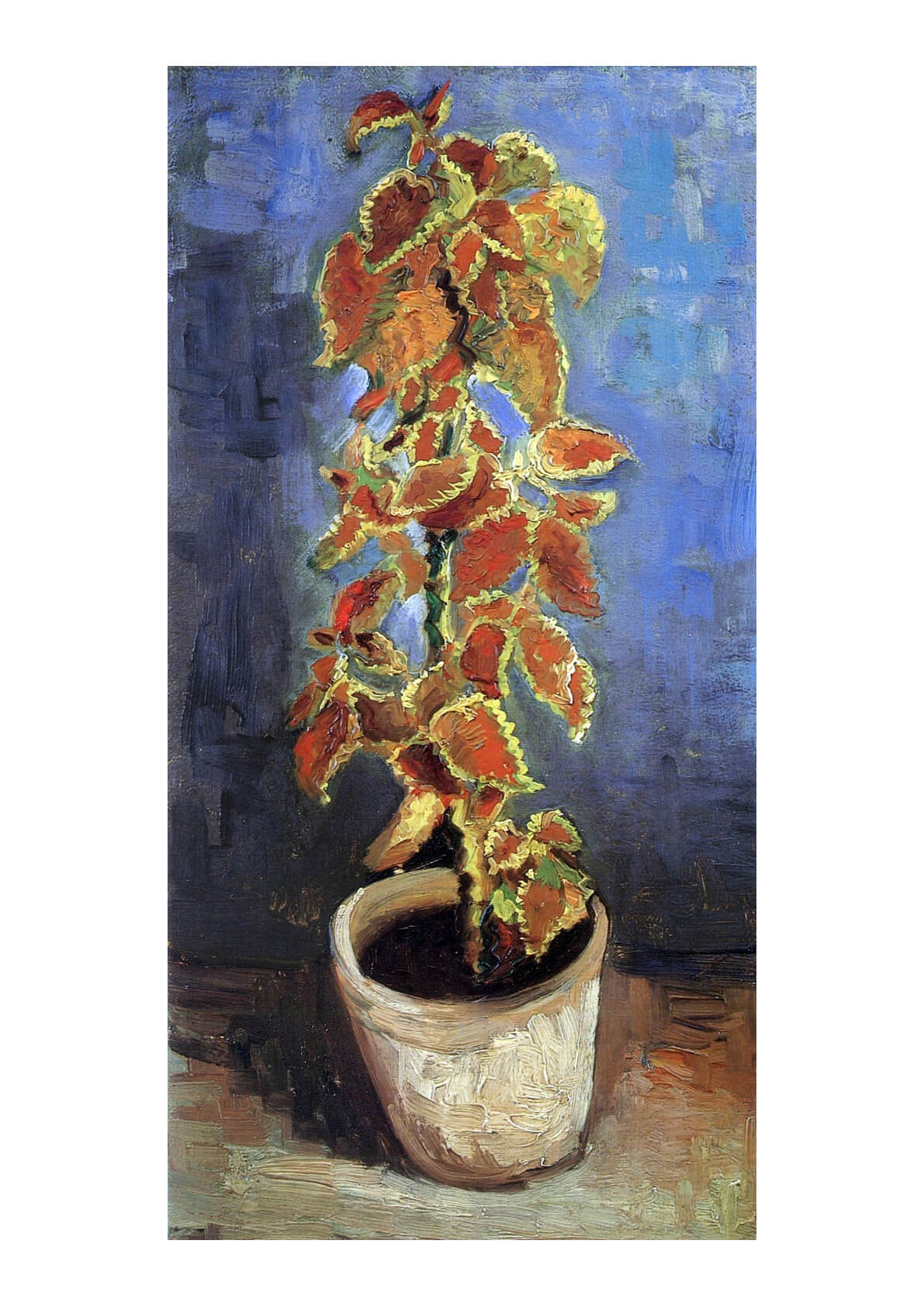 Vincent Van Gogh Coleus Plant in a Flowerpot, 1886 — Spiffing Prints