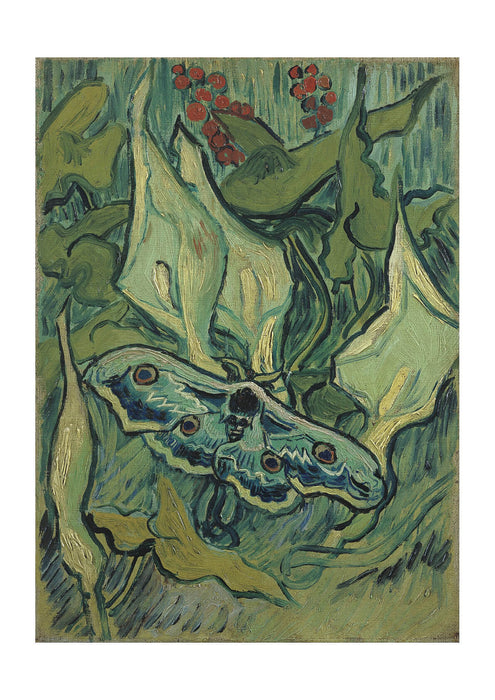Vincent Van Gogh - Emperor moth