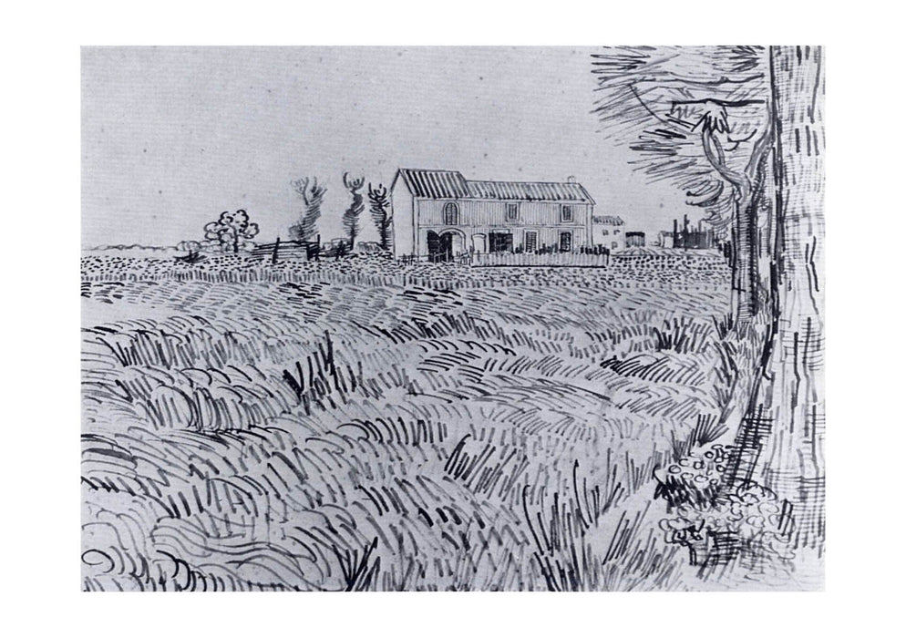 Vincent Van Gogh - Farmhouse in a Wheat Field, 1888