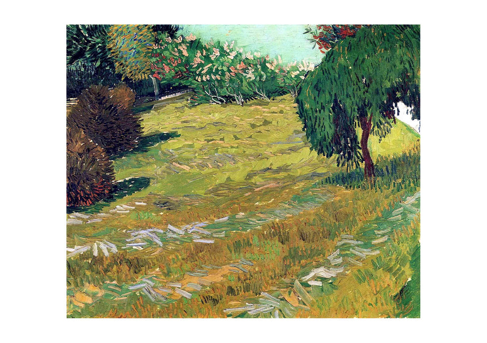 Vincent Van Gogh - Garden with Weeping Willow, 1888