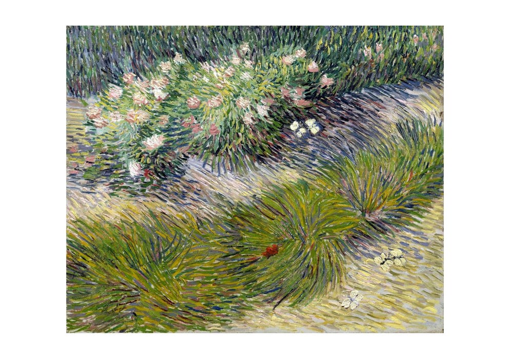 Vincent Van Gogh - Grass and Butterflies, 1887