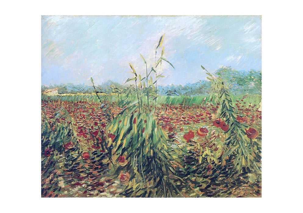Vincent Van Gogh - Green Ears of Wheat, 1888