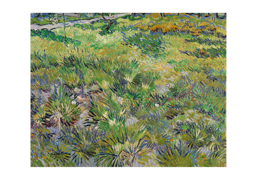 Vincent Van Gogh - Meadow in the Garden of Saint-Paul Hospital, 1890