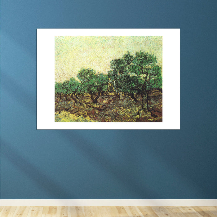 Vincent Van Gogh - Olive Picking, 1889 01