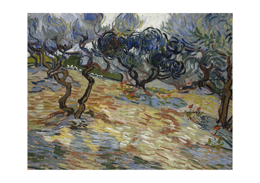 Vincent Van Gogh - Olive Trees, Bright Blue Sky, 1889