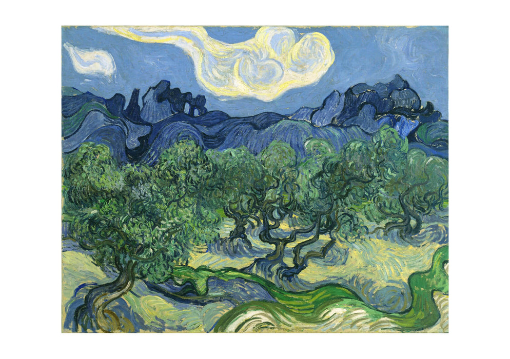Vincent Van Gogh - Olive Trees with the Alpilles in the Background,