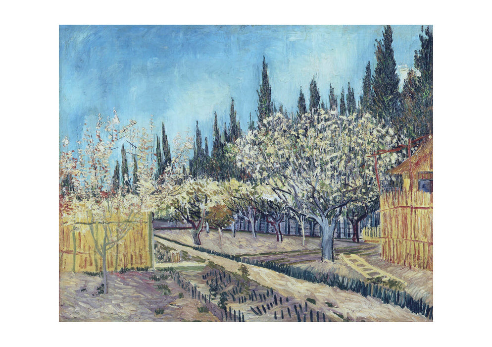 Vincent Van Gogh - Orchard in Blossom, Bordered by Cypresses, 1888 01