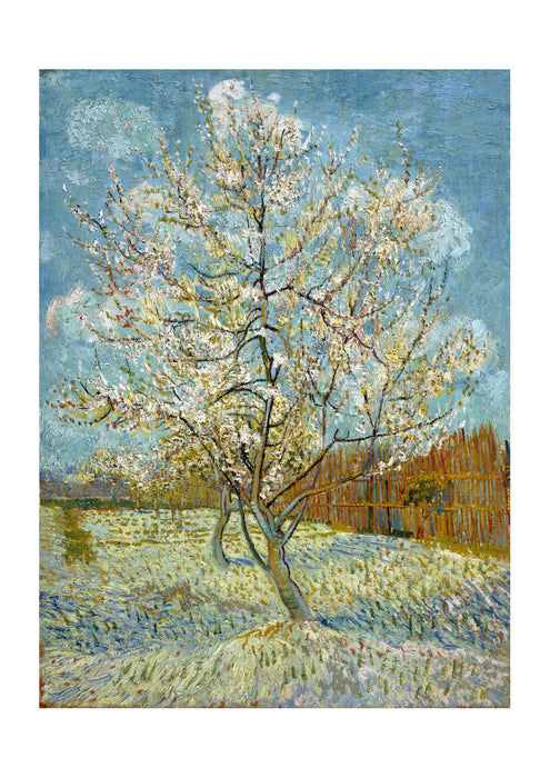 Vincent Van Gogh - Peach Trees in Blossom, 1888