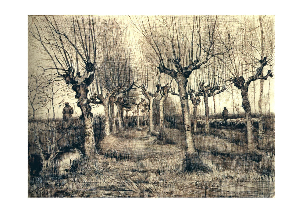 Vincent Van Gogh - Pollard Birches, 1884