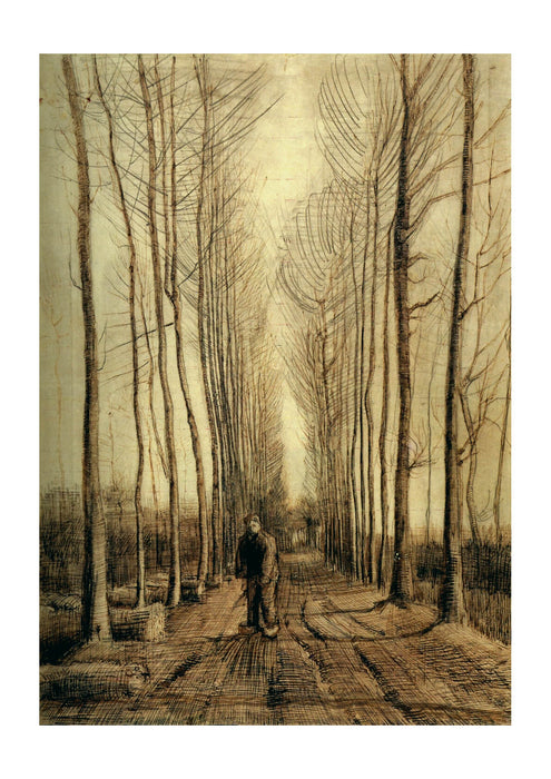 Vincent Van Gogh - Poplar Trees, 1884