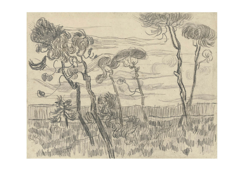 Vincent Van Gogh - Six Pines near the Enclosure Wall, 1889