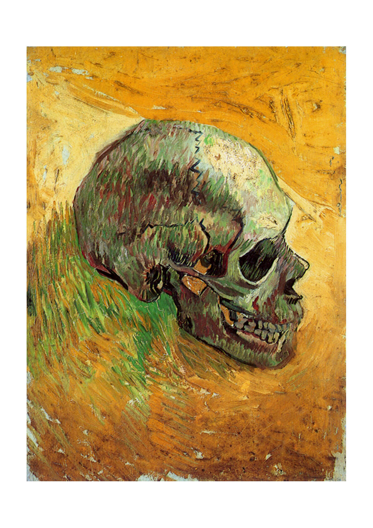 Vans gogh skull cheap