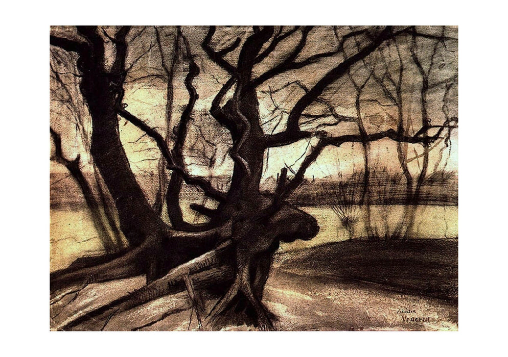 Vincent Van Gogh - Study of a Tree, 1882