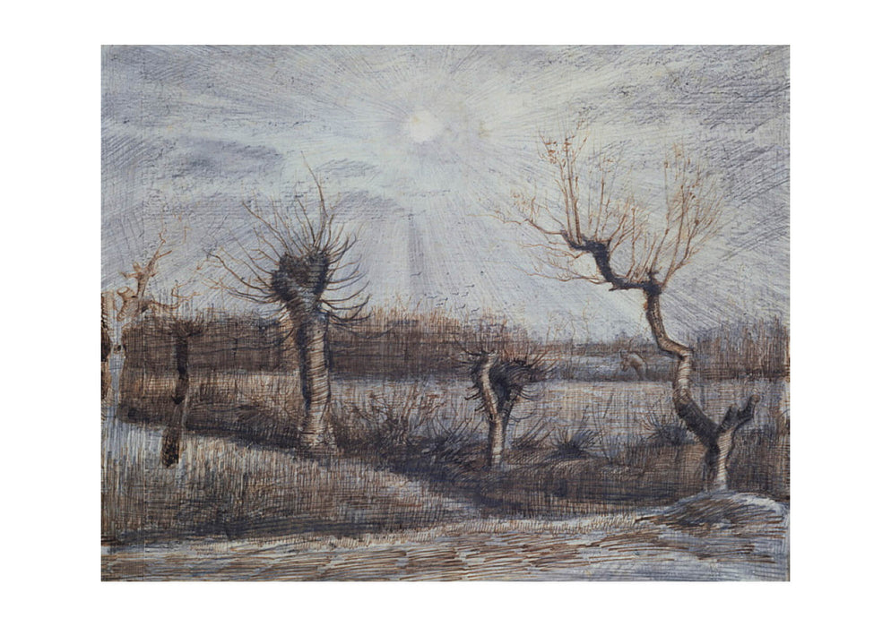 Vincent Van Gogh - Tetards (Pollards), 1884