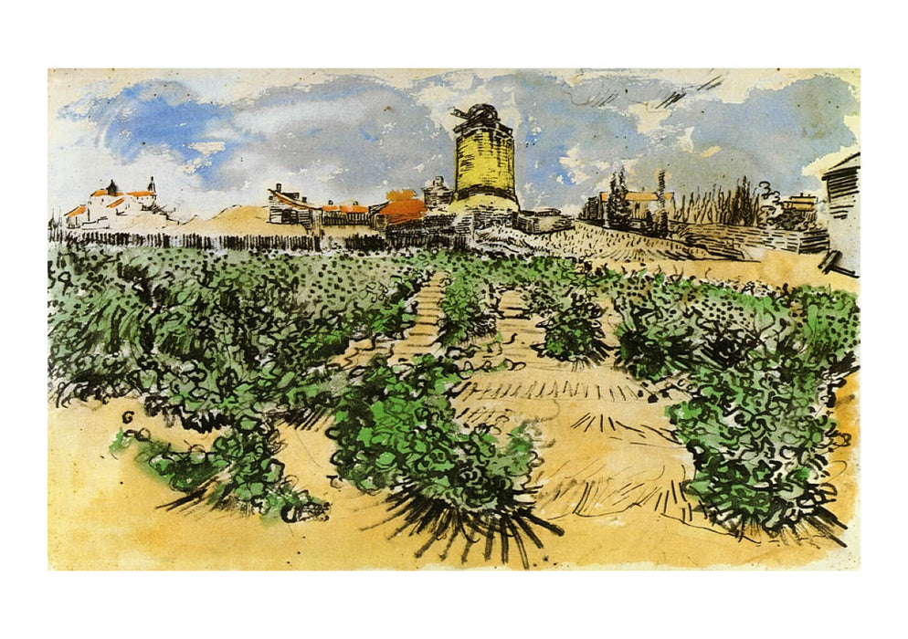 Vincent Van Gogh - The Mill of Alphonse Daudet at Fontevieille, 1888