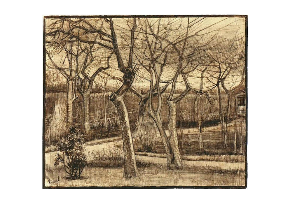Vincent Van Gogh - The Vicarage Garden, 1884