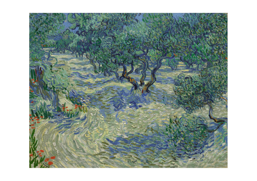 Vincent Van Gogh Olive Grove, 1889 02