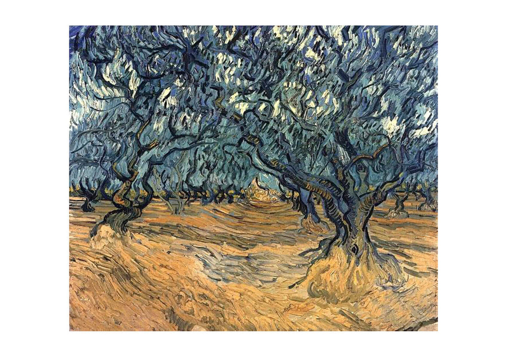 Vincent Van Gogh Olive Trees, 1889