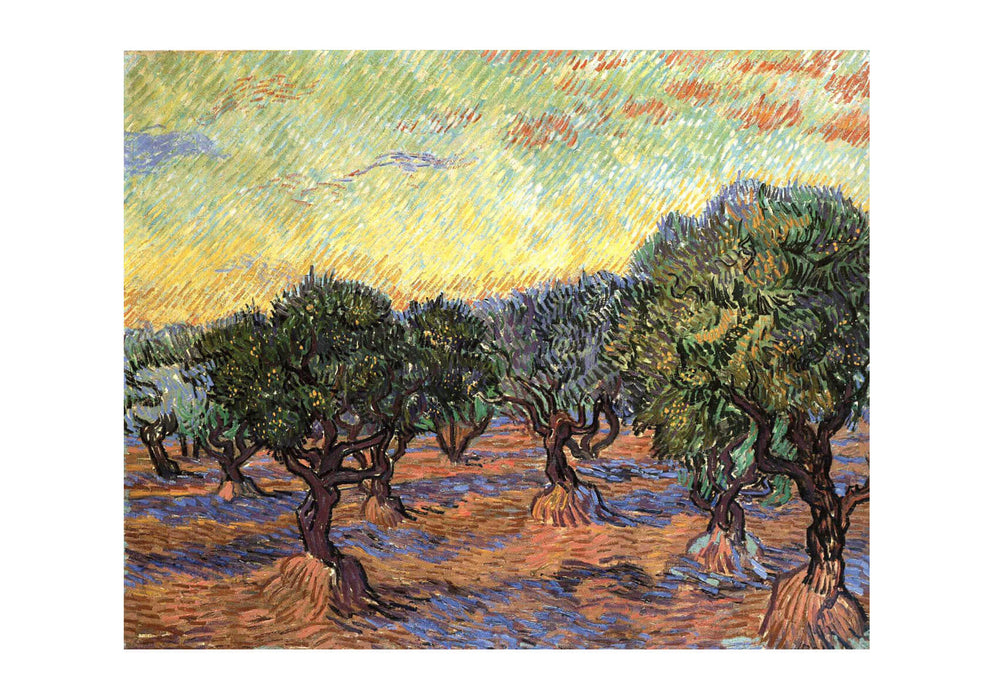 Vincent Van Gogh Olive Trees, Orange Sky, 1889